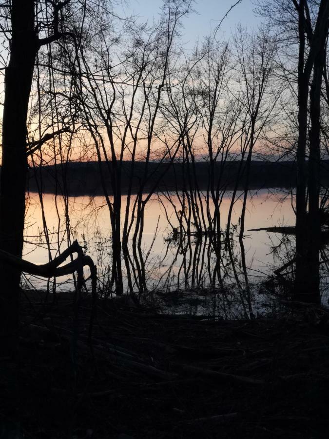 By The River B&B Fredericton Bagian luar foto