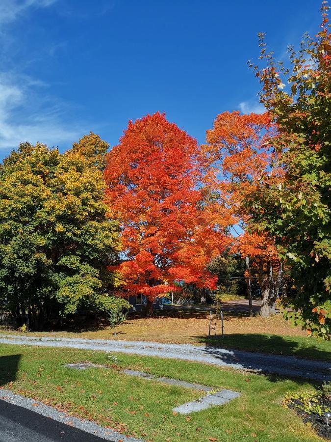 By The River B&B Fredericton Bagian luar foto